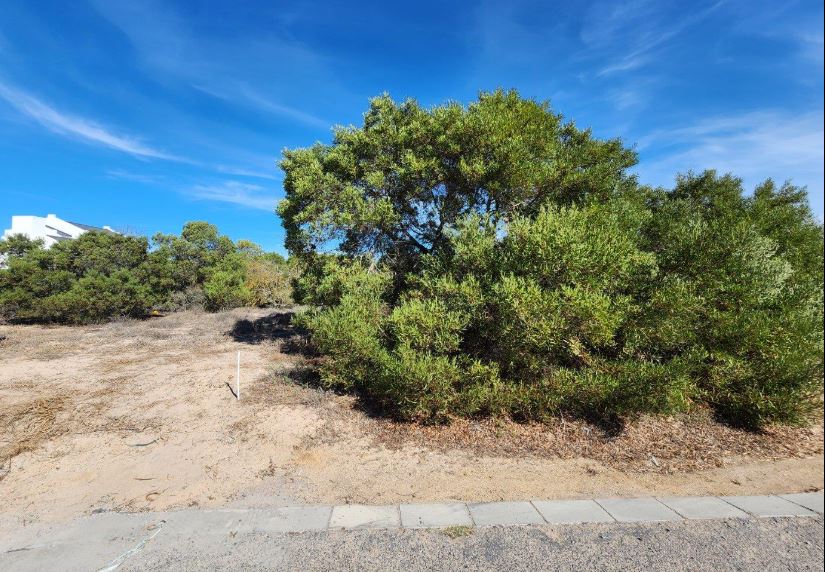 0 Bedroom Property for Sale in Shelley Point Western Cape